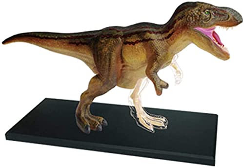 Studienmodell, pädagogisches Modell, tierisches anatomisches Modell, Tyrannosaurus-Anatomiemodell, abnehmbares 36-teiliges Tier-Dinosaurier-Organ-Anatomie-Lehrmodell von WTCBQC