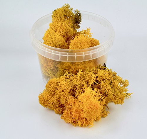 War World Gaming WWG 500ml Gelbes Apokalyptisches Lichen Laub - Tabletop Gelände Modellbau Landschaftsbau Diorama War World Gaming WWG 500ml Gelbes Apokalyptisches Lichen Laub - Tabletop Gelände Modellbau Landschaftsbau Diorama von War World Gaming