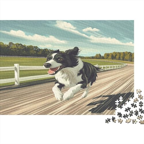 Border Collie Puzzle 1000 Teile Erwachsene, Puzzlespiel Jigsaw Puzzles Erwachsenen Puzzlespiel Puzzel 1000pcs (75x50cm) von WWJLRLXTO