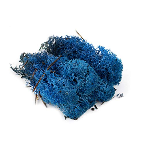 War World Scenics Blaue Lichen Modell Moos 60g - Flechte Laub Modellbau Modellbahn Wargame Tabletop Gelände Landschaft Baum Busch Hecke Diorama Basing War World Scenics Blaue Lichen Modell Moos 60g - Flechte Laub Modellbau Modellbahn Wargame Tabletop Gelände Landschaft Baum Busch Hecke Diorama Basing von WWS War World Scenics