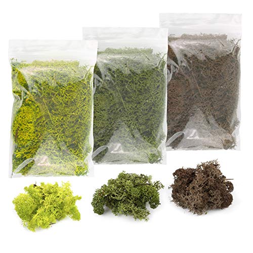 War World Scenics Lichen Flechte Modell Moos Laub Multipacks 3 x 60g (Hellgrün, Dunkelgrün, Braun) - Railway Wargame Tabletop Gelände Landschaft Baum Busch Hecke Diorama Basing von WWS War World Scenics