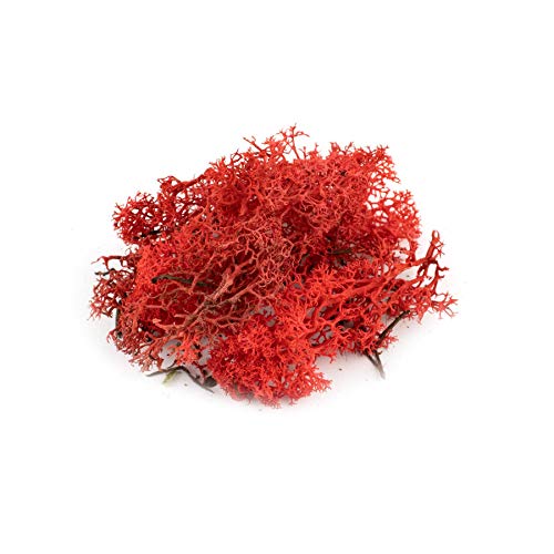 War World Scenics Rote Lichen Modell Moos 60g - Flechte Laub Modellbau Modellbahn Wargame Tabletop Gelände Landschaft Baum Busch Hecke Diorama Basing von WWS War World Scenics