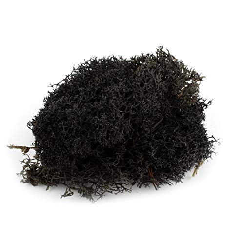 War World Scenics Schwarze Lichen Modell Moos 100g - Flechte Laub Modellbau Modellbahn Wargame Tabletop Gelände Landschaft Baum Busch Hecke Diorama Basing von WWS War World Scenics