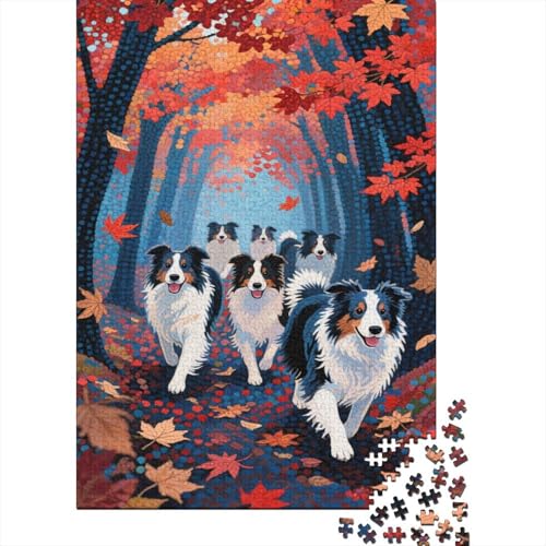 1000 Teile Border Collie Puzzle Für Erwachsene Und Kinder Holzpuzzle Geduldspiel Gruppe-Border-Collies-Herbstwald Puzzle Wohndekoration Geschenk Zum Geburtstag 1000pcs (75x50cm) von WXLWHR