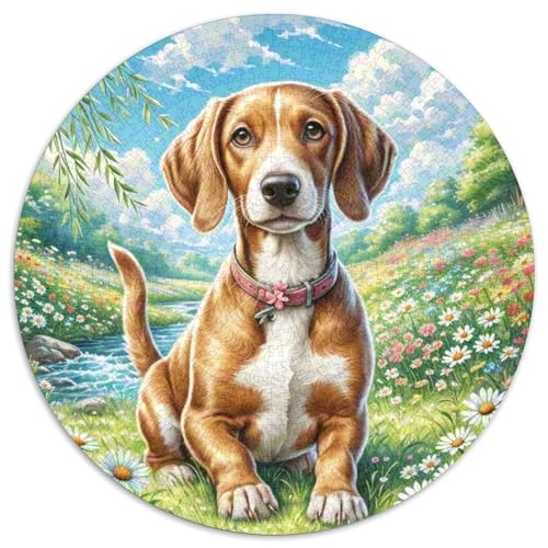 1000 Teile Deutsch Kurzhaar Puzzle Für Erwachsene Und Kinder Schwieriges Spiel Familien Spiel Puzzles Aus Karton Wohndekoration Geschenk Zu Weihnachten 1000pcs (67.5x67.5cm) von WXLWHR