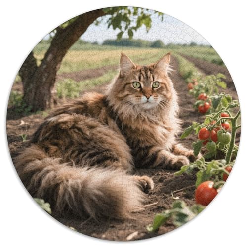 1000 Teile Maine Coon Puzzle Für Jugendliche Und Erwachsene Herausforderung Spiel Maine Coon Gemüse Puzzle Aus Karton Wohndekoration Geschenk Für Erwachsene 1000pcs (67.5x67.5cm) von WXLWHR