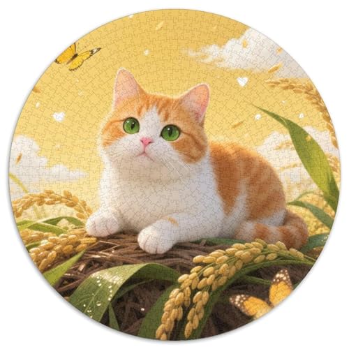 1000 Teile Orange und Weiße Katze Puzzle – Für Erwachsene, Anspruchsvolles Spiel, Reishaufen Puzzle, Wohnkultur, Geschenkideen 1000pcs (67.5x67.5cm) von WXLWHR