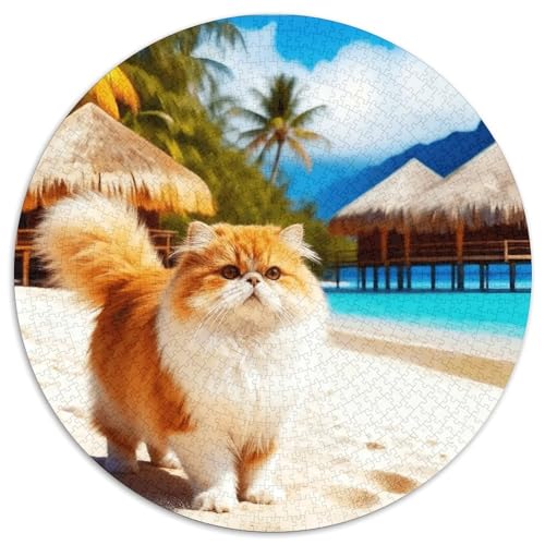 1000 Teile Perserkatze Puzzle – Für Erwachsene, Familienspaß & Gemeinsames Spiel, Küstenstrand Puzzles, Wohnkultur, Geschenkideen 1000pcs (67.5x67.5cm) von WXLWHR
