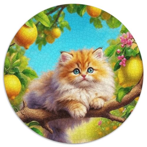 1000 Teile Perserkatze Puzzle – Für Erwachsene, Familienspaß & Gemeinsames Spiel, Zitronenbaum Puzzles, Dekoration, Geschenkideen 1000pcs (67.5x67.5cm) von WXLWHR