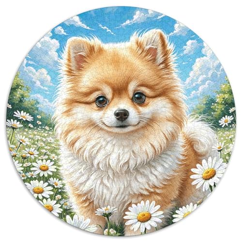 1000 Teile Pomeranian Puzzle Für Jugendliche Und Erwachsene Pädagogisches Spiel Pommern Gänseblümchen Puzzle Aus Karton Wohndekoration Einzigartiges Geschenk 1000pcs (67.5x67.5cm) von WXLWHR