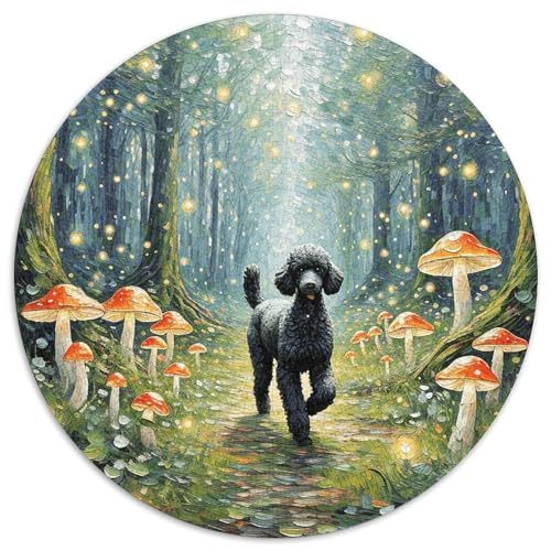 1000 Teile Pudel Puzzle Für Jugendliche Und Erwachsene Geduldspiel Pudel Wald Puzzle Aus Karton Wohndekoration Geschenk Für Erwachsene 1000pcs (67.5x67.5cm) von WXLWHR