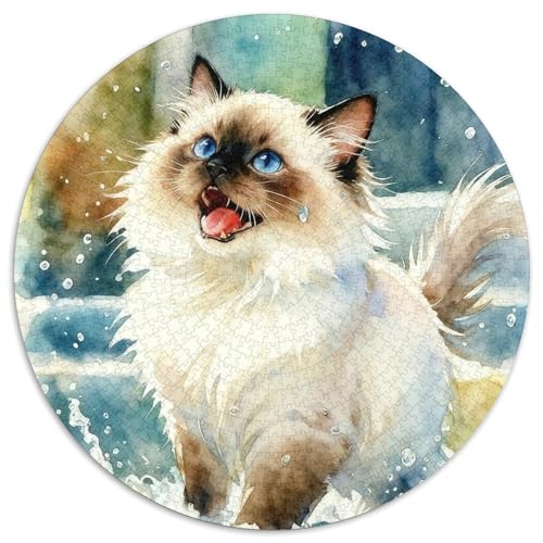 1000 Teile Ragdoll Katze Puzzle – Für Erwachsene, Familienspaß & Gemeinsames Spiel, Spritzer Puzzle, Dekoration, Geschenk Für Erwachsene 1000pcs (67.5x67.5cm) von WXLWHR