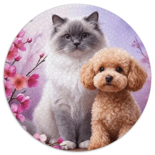 1000 Teile Ragdoll Katze Puzzle – Für Erwachsene, Familienspaß & Gemeinsames Spiel, Teddy Hund Puzzles, Wohnkultur, Geschenk Für Kinder 1000pcs (67.5x67.5cm) von WXLWHR