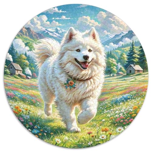 1000 Teile Samojede Puzzle Für Erwachsene Und Kinder Schwieriges Spiel Familien Spiel Puzzle Aus Karton Wohndekoration Geschenk Zum Geburtstag 1000pcs (67.5x67.5cm) von WXLWHR