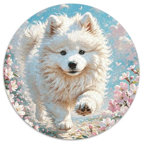 1000 Teile Samojede Puzzle Für Jugendliche Und Erwachsene Geduldspiel Samojede Blumen Puzzle Aus Karton Wohndekoration Geschenk Für Erwachsene 1000pcs (67.5x67.5cm) von WXLWHR