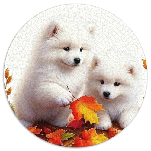 1000 Teile Samoyed Welpe Puzzle – Für Erwachsene, Familienspaß & Gemeinsames Spiel, Herbstblätter Puzzles, Dekoration, Geschenkideen 1000pcs (67.5x67.5cm) von WXLWHR