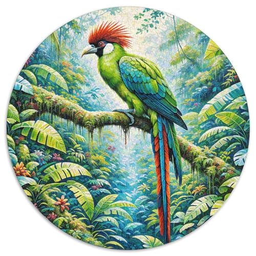 1000 Teile Turaco Puzzle Für Jugendliche Und Erwachsene Geschicklichkeitsspiel Turaco Dschungel Puzzles Aus Karton Wohndekoration Einzigartiges Geschenk 1000pcs (67.5x67.5cm) von WXLWHR