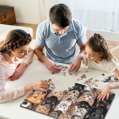 1000-teiliges Puzzle, künstlerisches süßes Kätzchen, kreatives quadratisches Puzzle für Kinder und Holzpuzzle, Puzzle für Kindergeschenke, 1000 Teile (75 x 50 cm) von WXMMoney