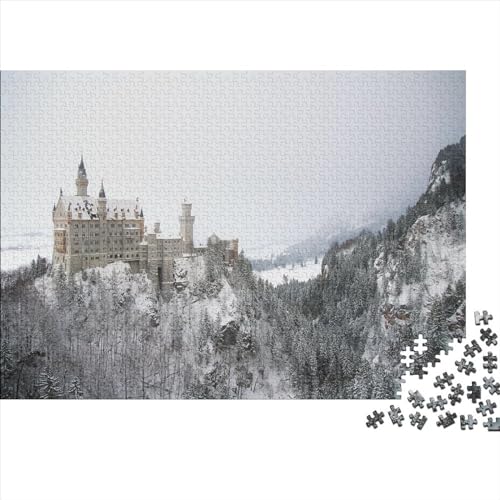 1000-teiliges rechteckiges Puzzle für Erwachsene, deutsche Schönheit, kreative Puzzle-Herausforderung, Spielzeugpuzzle für Erwachsene und Kinder, 1000 Teile (75 x 50 cm) von WXMMoney