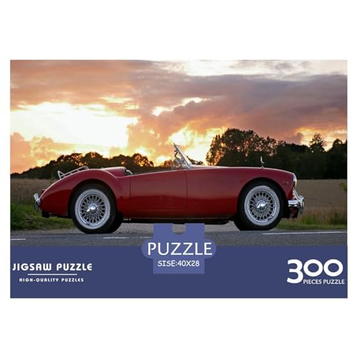 300-teiliges Puzzle für Erwachsene, Sportwagen-Puzzle, 300-teiliges Holzbrett-Puzzle – Entspannungs-Puzzlespiele, Denksport-Puzzle, 300 Teile (40 x 28 cm) von WXMMoney
