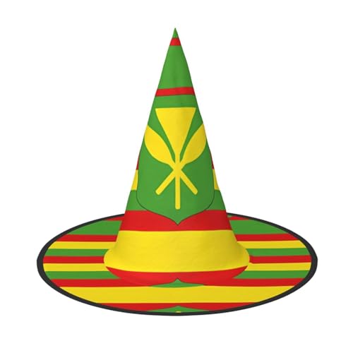 WXZYFP Hawaiianische Flagge. Dies ist ein faltbarer und tragbarer Halloween-Hut. von WXZYFP