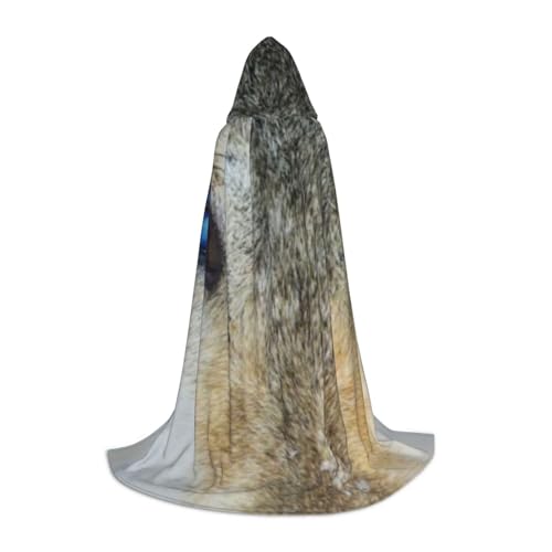 Langer Kapuzenumhang für Teenager, blaue Augen, Wolf-Druck, Cosplay, Rollenparty, Halloween-Kostüme Langer Kapuzenumhang für Teenager, blaue Augen, Wolf-Druck, Cosplay, Rollenparty, Halloween-Kostüme von WYYDPPLK