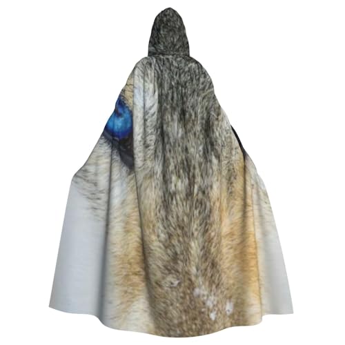 Lustiger Kapuzenumhang mit blauen Augen und Wolfsaufdruck, für Erwachsene, Unisex, Halloween, Weihnachten, Cosplay von WYYDPPLK