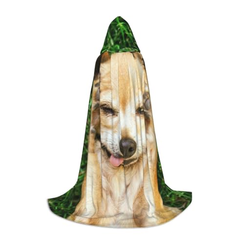 WYYDPPLK Langer Kapuzenumhang für Teenager, Chihuahua-Hunde-Druck, Cosplay, Rollenparty, Halloween-Kostüme von WYYDPPLK