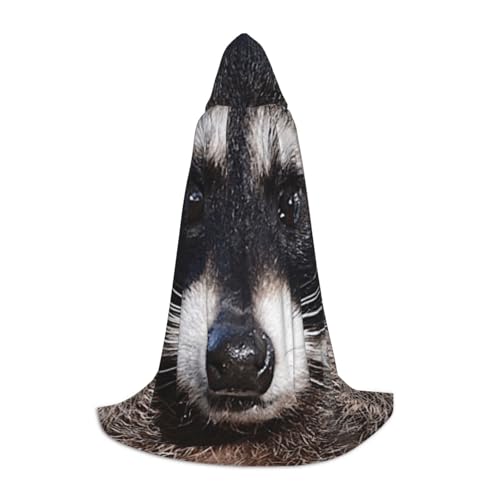WYYDPPLK Langer Kapuzenumhang für Teenager, kleiner Waschbär-Gesichtsdruck, Cosplay, Rollenparty, Halloween-Kostüme von WYYDPPLK