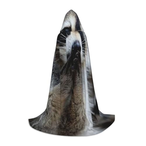 WYYDPPLK Langer Kapuzenumhang für Teenager, niedlicher Waschbär-Druck, Cosplay, Rollenparty, Halloween-Kostüme WYYDPPLK Langer Kapuzenumhang für Teenager, niedlicher Waschbär-Druck, Cosplay, Rollenparty, Halloween-Kostüme von WYYDPPLK