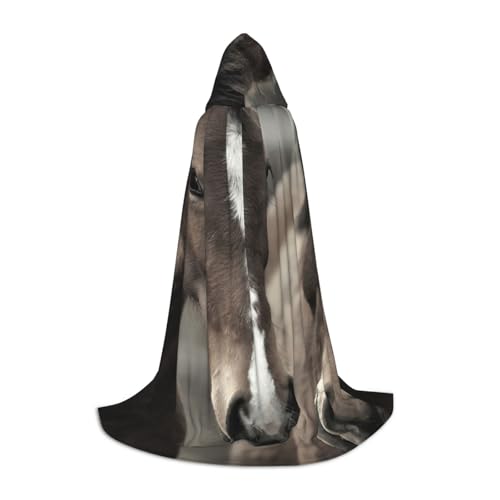 WYYDPPLK Langer Kapuzenumhang für Teenager, zwei Pferde, bedruckt, Cosplay, Rollenparty, Halloween-Kostüme von WYYDPPLK