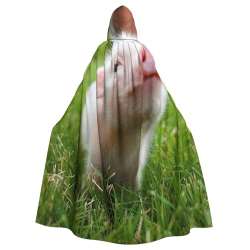 WYYDPPLK Lustiger Kapuzenumhang mit frechem Schweine-Druck für Erwachsene – Unisex, Halloween, Weihnachten, Cosplay-Umhang von WYYDPPLK