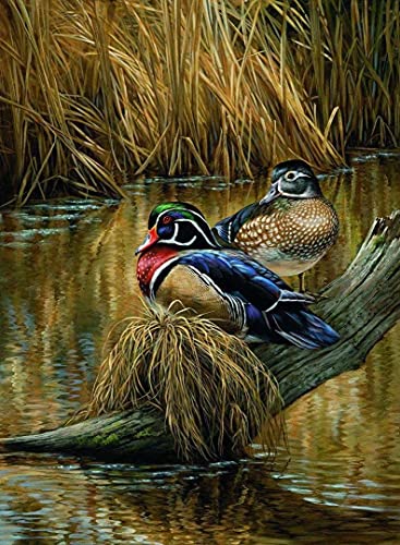 WZVZGZ Erwachsene Puzzle 1000 Teile Holz - Entenjagd Kunst Wasservögel Wildtiere Dekompressionsspielzeug Geschenk für Familie Landschaftsdekoration Präzisions-Passform WZVZGZ Erwachsene Puzzle 1000 Teile Holz - Entenjagd Kunst Wasservögel Wildtiere Dekompressionsspielzeug Geschenk für Familie Landschaftsdekoration Präzisions-Passform von WZVZGZ