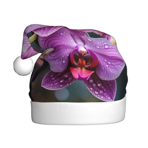 WZYCWB Malaysische Nationalblume Erwachsene Weihnachtsmütze Unisex Weihnachtsmann Weihnachten Halloween Urlaub Party Erwachsene Plüsch Weihnachtsmütze WZYCWB Malaysische Nationalblume Erwachsene Weihnachtsmütze Unisex Weihnachtsmann Weihnachten Halloween Urlaub Party Erwachsene Plüsch Weihnachtsmütze von WZYCWB