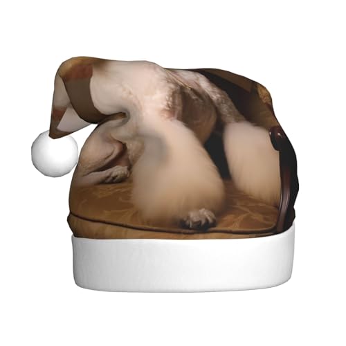 WZYCWB Pudel Erwachsene Weihnachtsmütze Unisex Weihnachtsmann Weihnachten Halloween Urlaub Party Erwachsene Plüsch Weihnachtsmütze WZYCWB Pudel Erwachsene Weihnachtsmütze Unisex Weihnachtsmann Weihnachten Halloween Urlaub Party Erwachsene Plüsch Weihnachtsmütze von WZYCWB