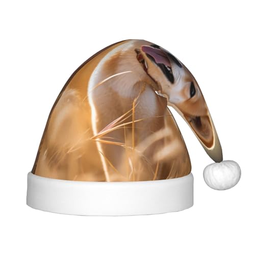 WZYCWB Shiba Inu Neujahrsparty Kindermütze, Weihnachten Event Bühnenaufführung Urlaub Party Szene Kindermode Weihnachtsmütze WZYCWB Shiba Inu Neujahrsparty Kindermütze, Weihnachten Event Bühnenaufführung Urlaub Party Szene Kindermode Weihnachtsmütze von WZYCWB