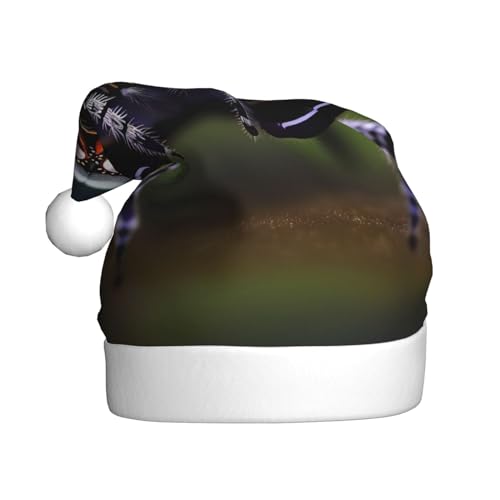 WZYCWB Tropische Regenwaldspinnen Erwachsene Weihnachtsmütze Unisex Weihnachtsmann Weihnachten Halloween Urlaub Party Erwachsene Plüsch Weihnachtsmütze WZYCWB Tropische Regenwaldspinnen Erwachsene Weihnachtsmütze Unisex Weihnachtsmann Weihnachten Halloween Urlaub Party Erwachsene Plüsch Weihnachtsmütze von WZYCWB
