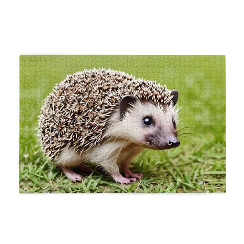 Holzpuzzle 1000 Teile WZYWHJ Igel Polkadot Muster für Erwachsene und Kinder, perfekt für Familienspaß, Stressabbau Holzpuzzle 1000 Teile WZYWHJ Igel Polkadot Muster für Erwachsene und Kinder, perfekt für Familienspaß, Stressabbau von WZYWHJ