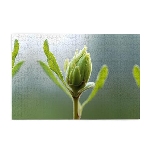 Holzpuzzle 1000 Teile WZYWHJ Sprouts gedruckt für Erwachsene und Kinder, perfekt für Familienspaß, Stressabbau von WZYWHJ