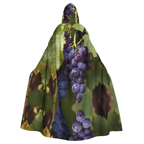 WZYWHJ Großer Trauben-Poncho mit Kapuze, für Damen und Herren, Halloween-Party von WZYWHJ