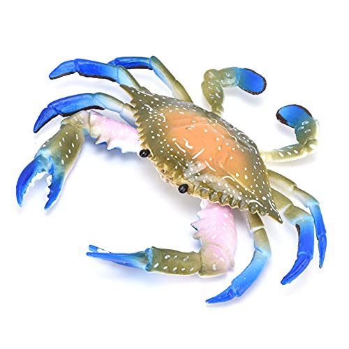 Wakects Krabbenmodell, Realistische Plastikkrabbenspielzeug Marine Animal Kids Educational Requisiten Schreibtischdekoration mit (PL127-1086 Bunte Krabbe (0,072 kg)) von Wakects