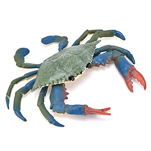 Wakects Krabbenmodell, Realistische Plastikkrabbenspielzeug Marine Animal Kids Educational Requisiten Schreibtischdekoration mit (PL127-524 Krabbe (0,072 kg)) von Wakects