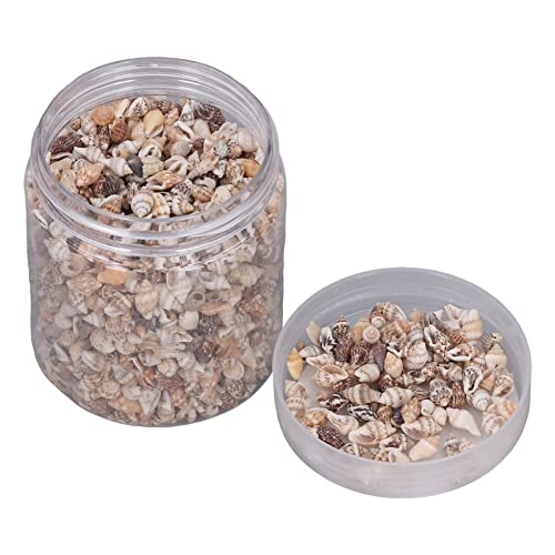 Wakects Tiny Sea Shells Crafting Shell Perlen Mini Hülle, Ideal für Schmuckherstellung und Handwerk, Vielseitiges Tropisches Dekor mit Nautischen Stilen, für Sea -Spiegel und Themenpartys Wakects Tiny Sea Shells Crafting Shell Perlen Mini Hülle, Ideal für Schmuckherstellung und Handwerk, Vielseitiges Tropisches Dekor mit Nautischen Stilen, für Sea -Spiegel und Themenpartys von Wakects