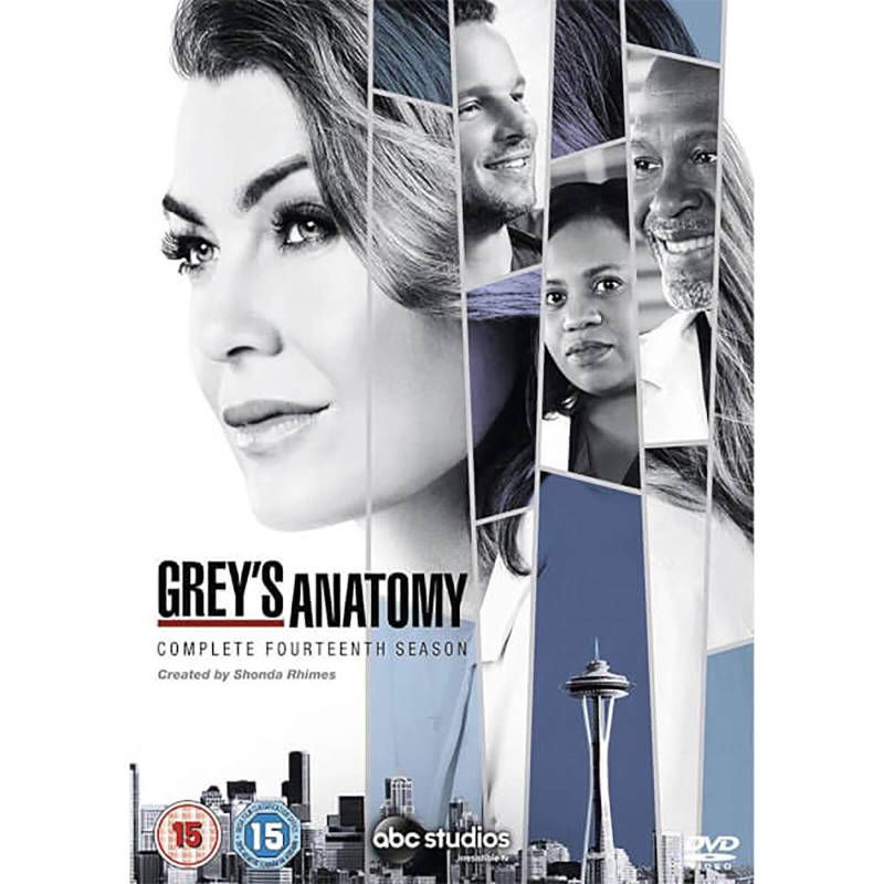 Grey's Anatomy Staffel 14 von Walt Disney Studios