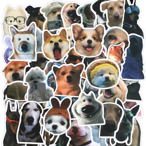 Wanmu 100 Stück Lustige Meme Sticker Set, Lustige Hundememe Aufkleber, Wasserdichte Vinyl Welpenaufkleber für Wasserflaschen Laptops Gepäck Skateboards, Partyzubehör von Wanmu