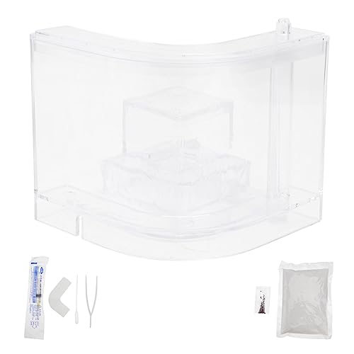 Warmhm 1 Satz Ant Nest Toy Transparent Ant Breeding Box für Wissenschaftsspielzeug zur Entdeckung von Ameisen Sicheres Material für Langanhaltenden Spaß und Lernen für Zuhause von Warmhm