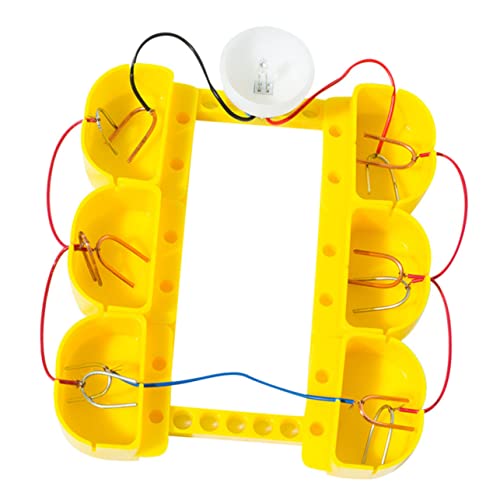 Warmhm 1 Satz Obstbatterie Experimentierkasten Wissenschaftliches DIY für Grundschüler Fördert Kreativität und Praktische Fähigkeiten für Experimente mit Familie und Freunden von Warmhm