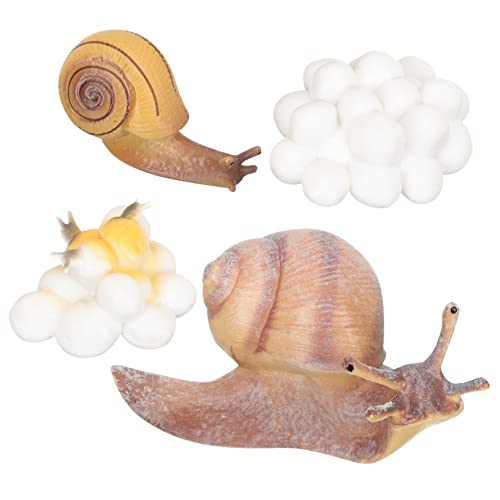 Warmhm 1 Satz Tierschädlingsmodell Pädagogisches Tierlebenszyklus für Teiliges Lernmodell für Frühe Bildung Rollenspiele und Partys für Weihnachten Geburtstage und Schulprojekte von Warmhm