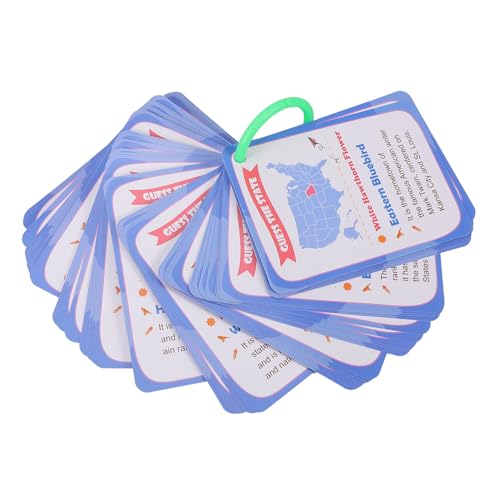 Warmhm 1 Set Kognitive Karte Mit Staatsflaggen Lernkarten Für Kleinkinder Lernkarten Mit US Staatsflaggen Lernkarten Für Kognitives Lernspielzeug Lernkarten Lernkarten Mit US von Warmhm