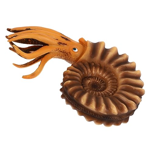 Warmhm 1 Stück Nautilus Spielzeugfigur aus Realistisches Tiermodell für Pädagogisches Lernspielzeug für Jungen und Sicheres Langlebiges Design für Kreatives und Dekorieren Warmhm 1 Stück Nautilus Spielzeugfigur aus Realistisches Tiermodell für Pädagogisches Lernspielzeug für Jungen und Sicheres Langlebiges Design für Kreatives und Dekorieren von Warmhm